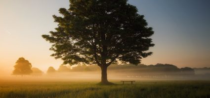 Life is a series of uncovering. Are you learning and seeing what it's trying to show you?